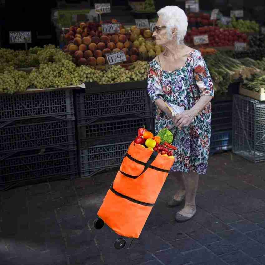 Trolley bag hotsell for shopping vegetables