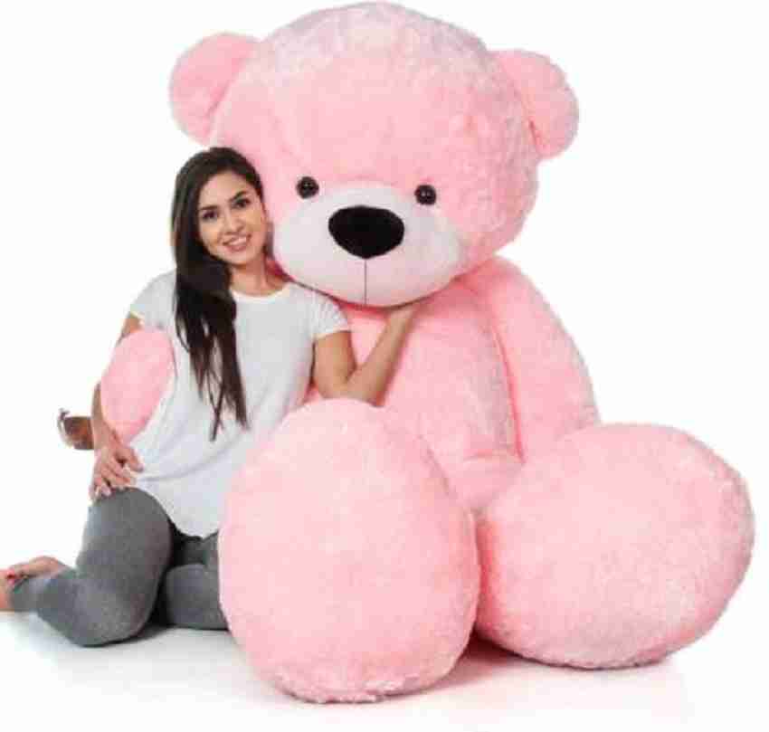 Teddy near me 2025