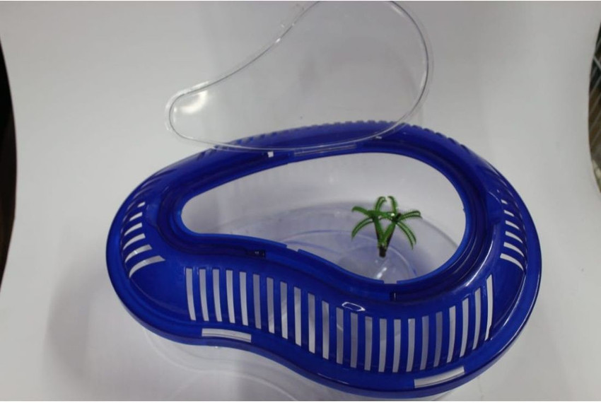 tuba Acrylic Tank For Baby Turtles Elliptical Aquarium Tank Price