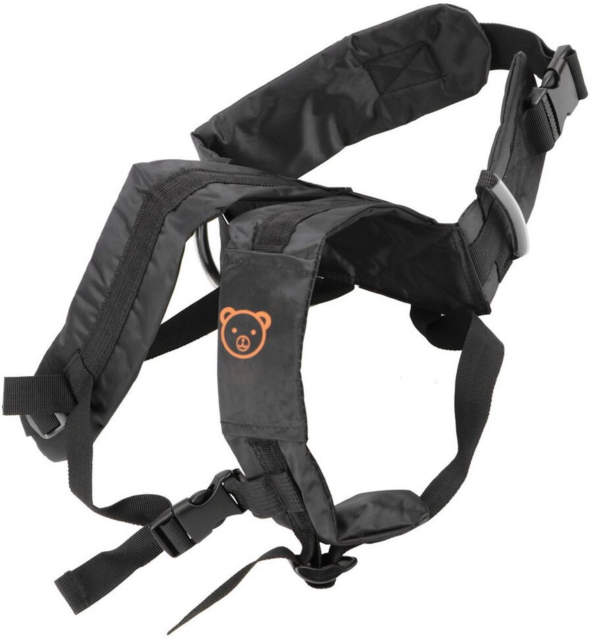 Child belt for clearance motorcycle
