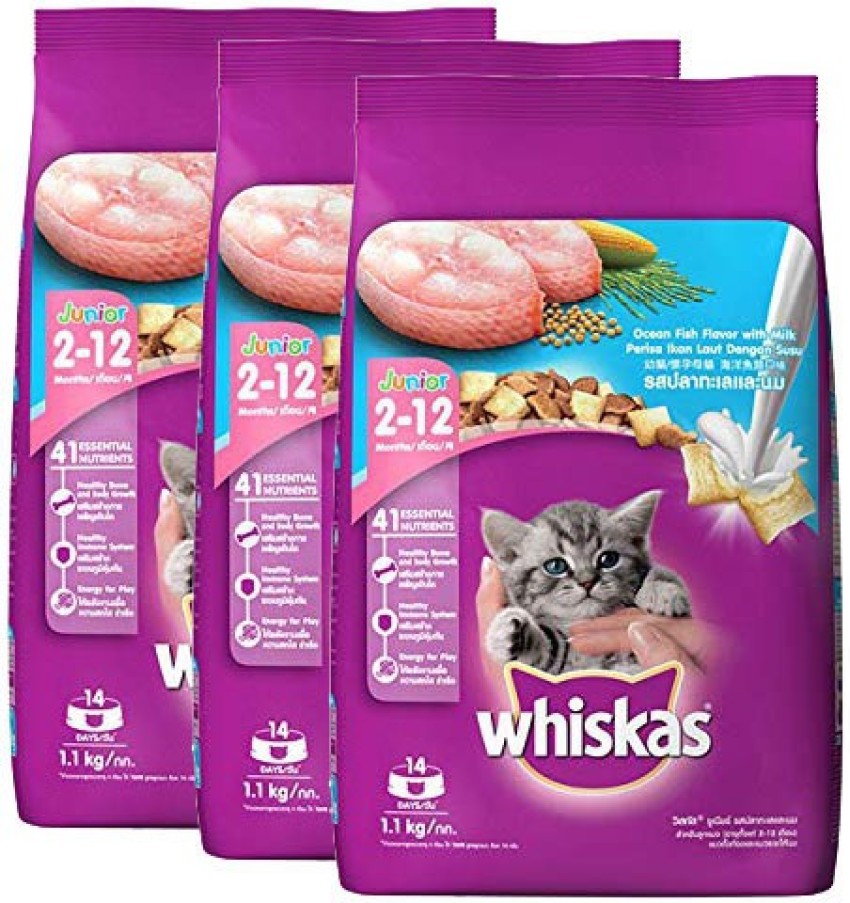 Whiskas 1 outlet kg cat food