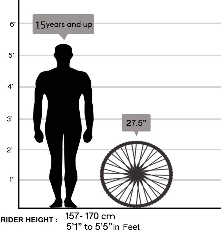 Adult size outlet bike