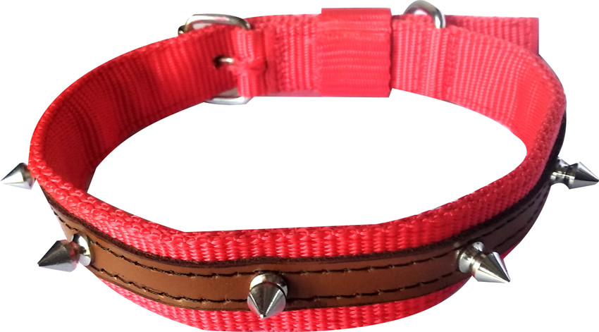 Dog neck store collar