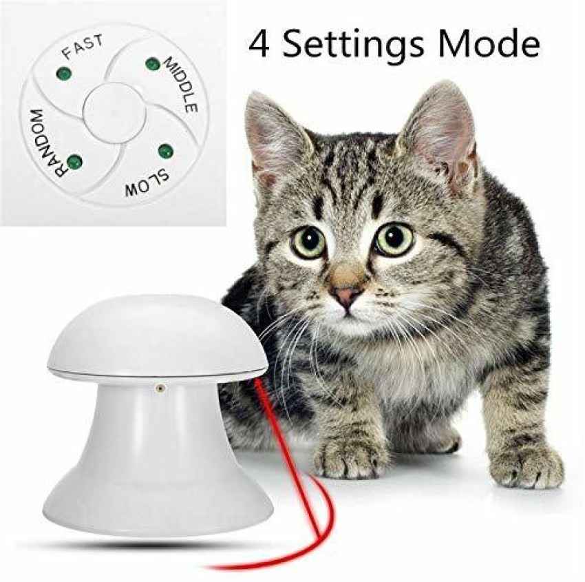 Dart laser cat toy best sale