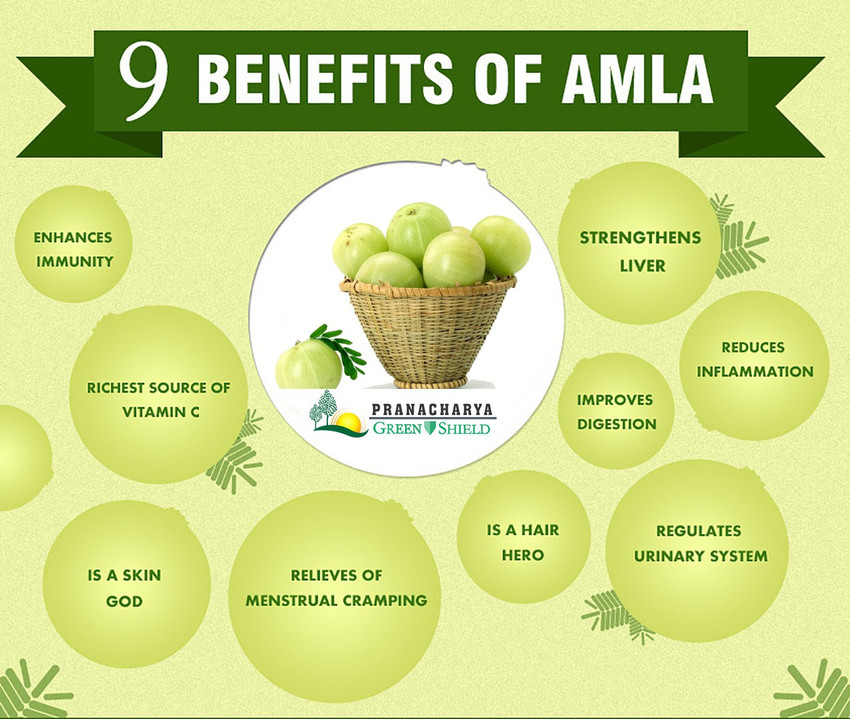 Pranacharya Amla Juice with Tulsi Giloy Mullethi Organic Nutrition Drink Price in India Buy Pranacharya Amla Juice with Tulsi Giloy Mullethi Organic Nutrition Drink online at Flipkart