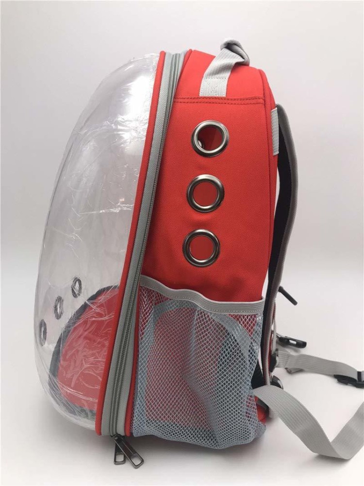 Buy Pets Empire Pet Transparent Cat Carrier Backpack Puppy Kitty Breathable  Carriers For Travel Online at Best Prices in India - JioMart.