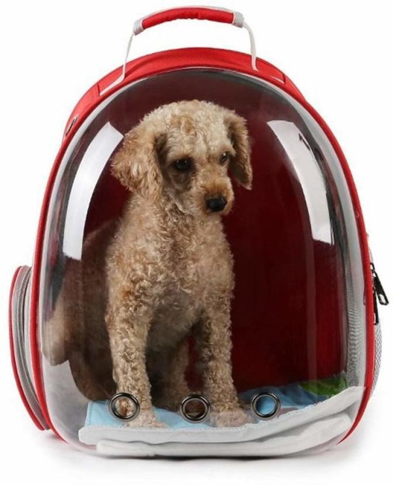 Transparent store pet backpack