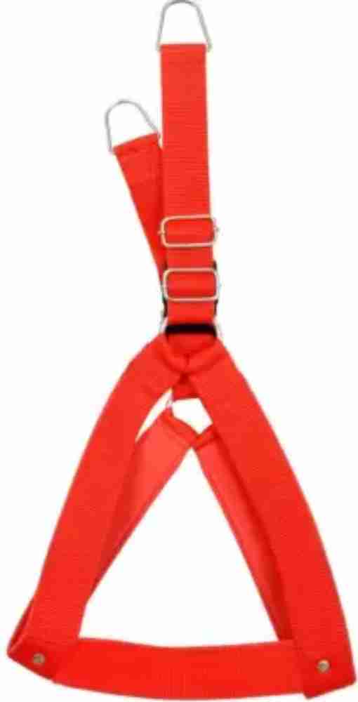 BODY BUILDING RED COLOR ADJUSTABLE DOG BODY CROSS BELT Dog Standard Harness Price in India Buy BODY BUILDING RED COLOR ADJUSTABLE DOG BODY CROSS BELT Dog Standard Harness online at Flipkart