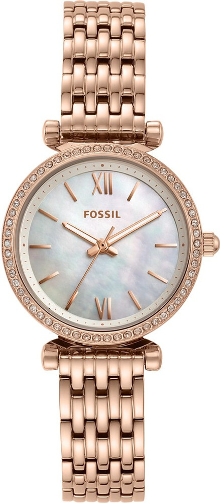 Es4648 fossil online