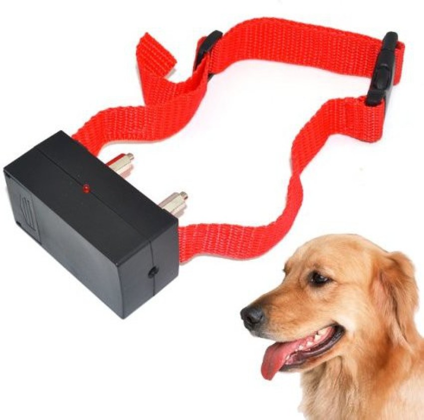 Voice activated hotsell dog collar