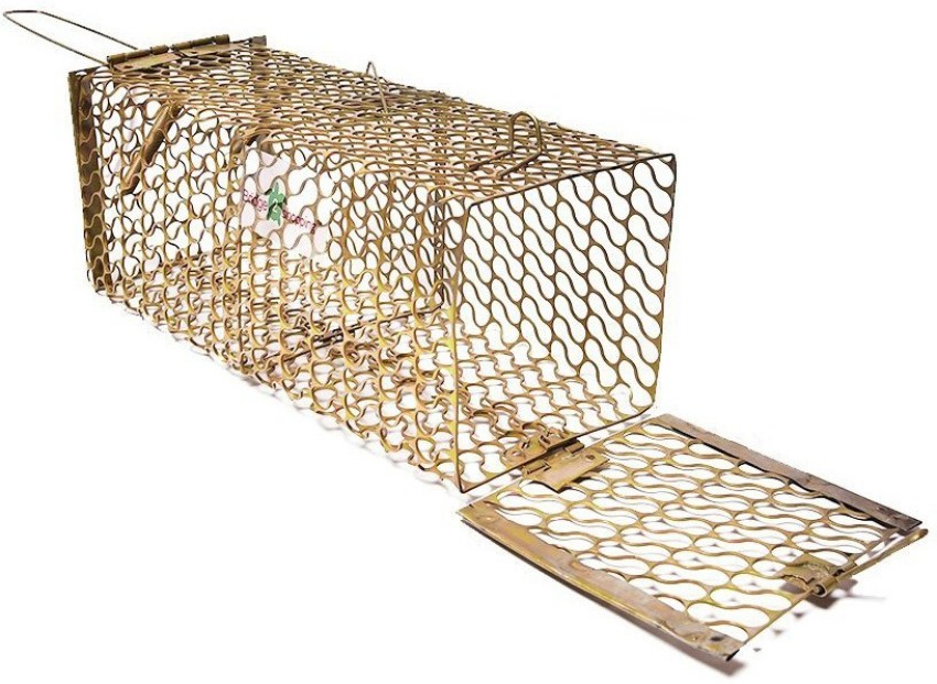 MITHO Mouse Trapper, Rat Catcher, Rat Cage Trap, Big Rat Live Trap Price in  India - Buy MITHO Mouse Trapper, Rat Catcher, Rat Cage Trap, Big Rat Live  Trap online at