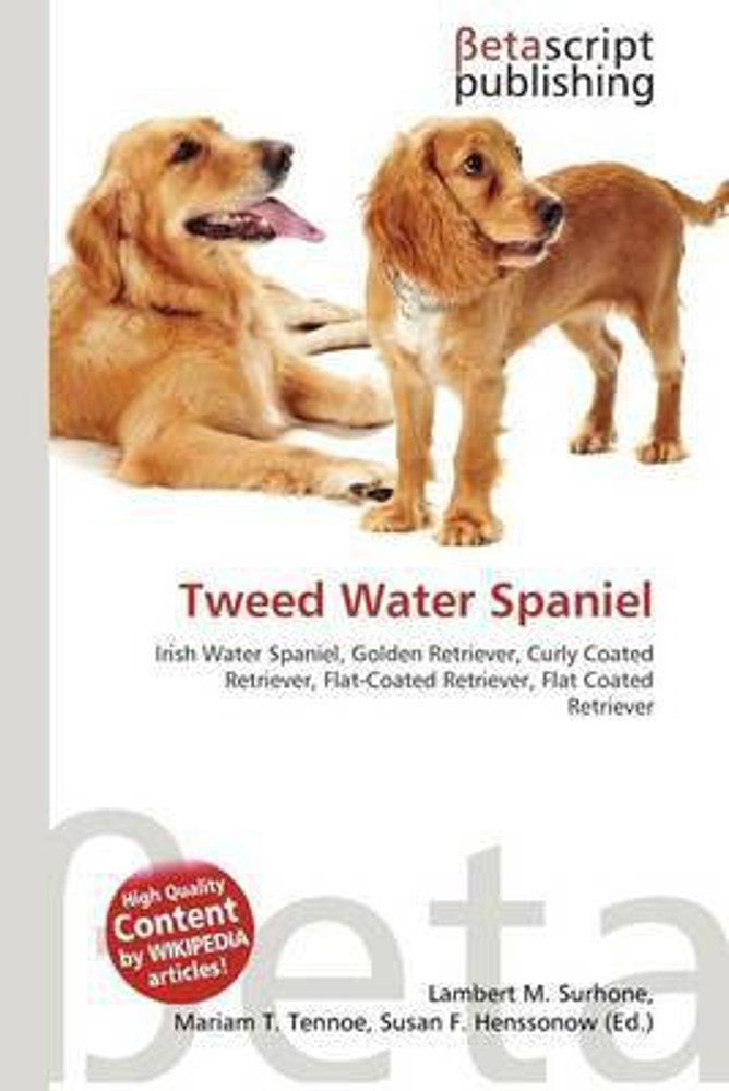 Tweed spaniel sales