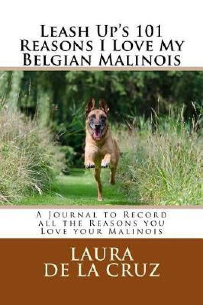 Belgian malinois hot sale 101