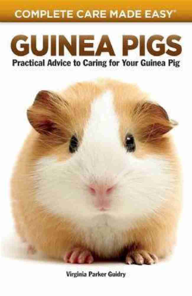 Electronic 2024 guinea pig