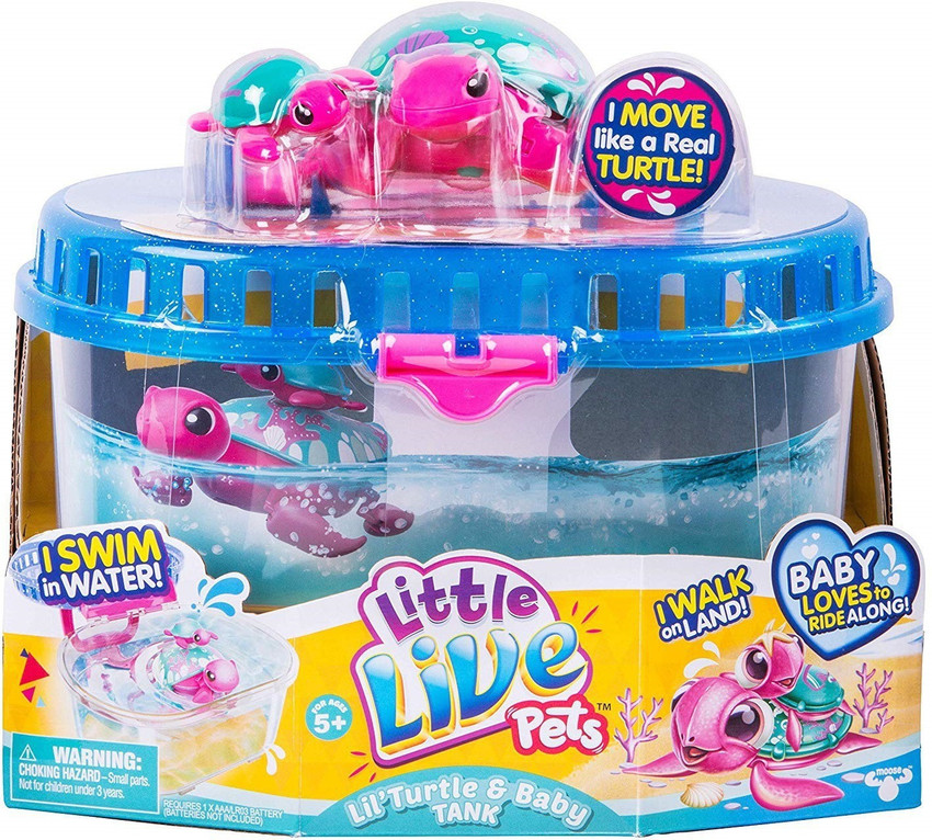 Little live turtle new arrivals