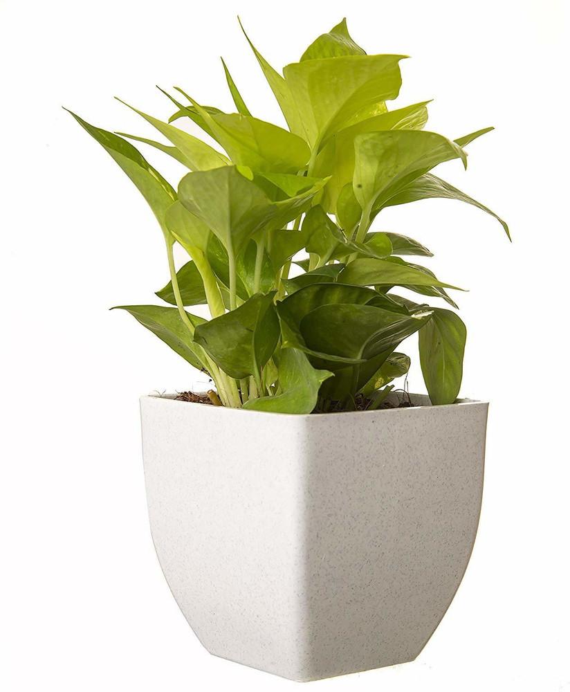 Air purifier shop vijay sales