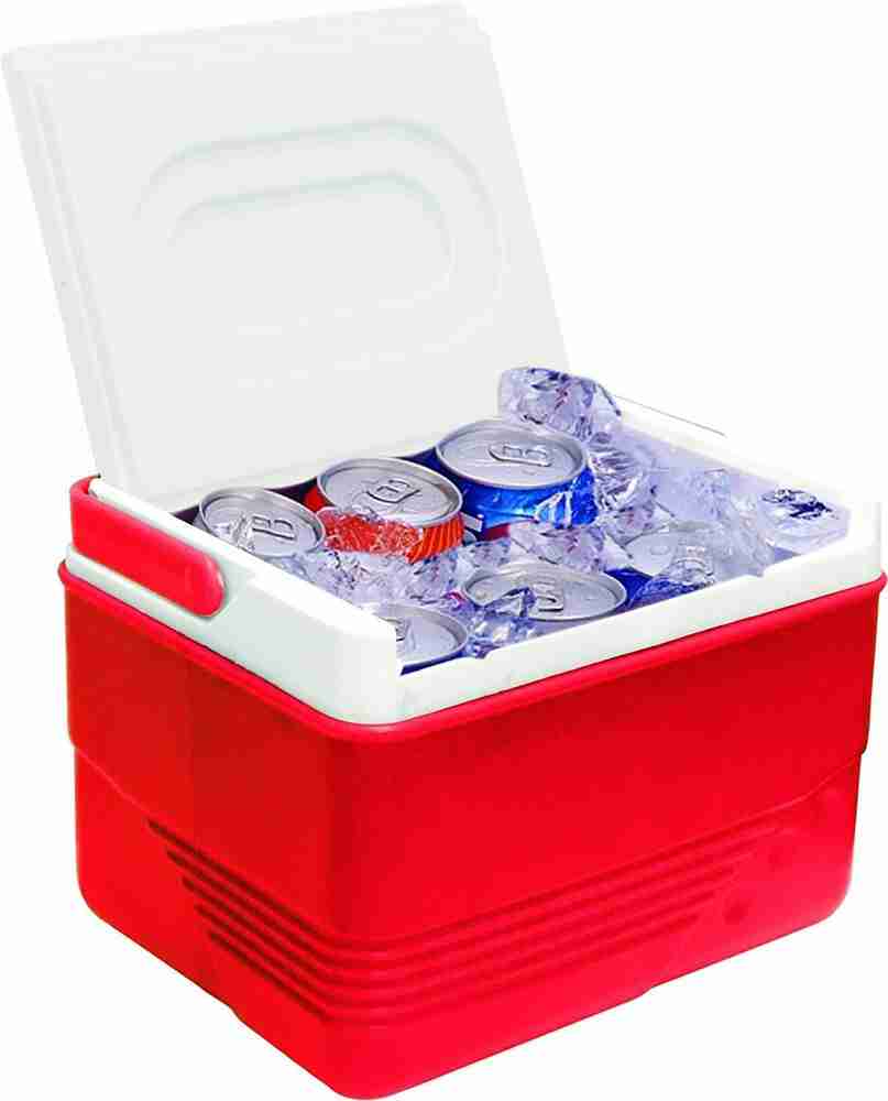 Tiny hotsell ice box