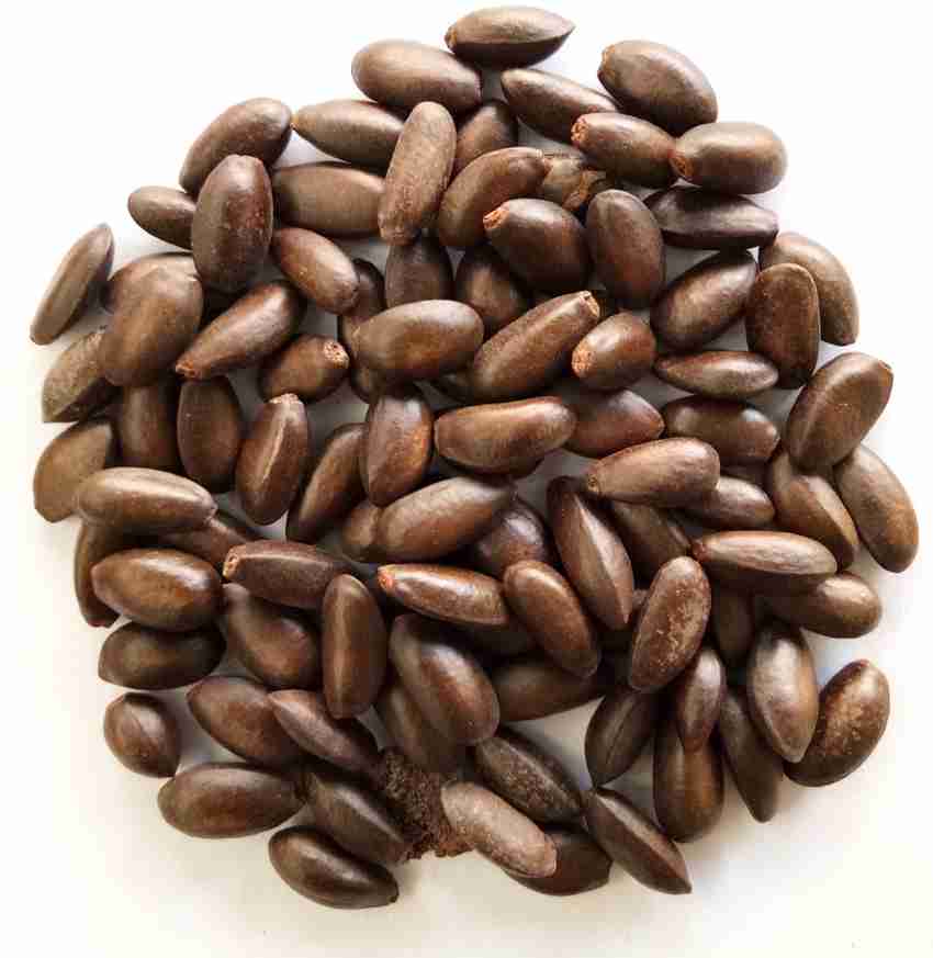 Annona Squamosa Seeds