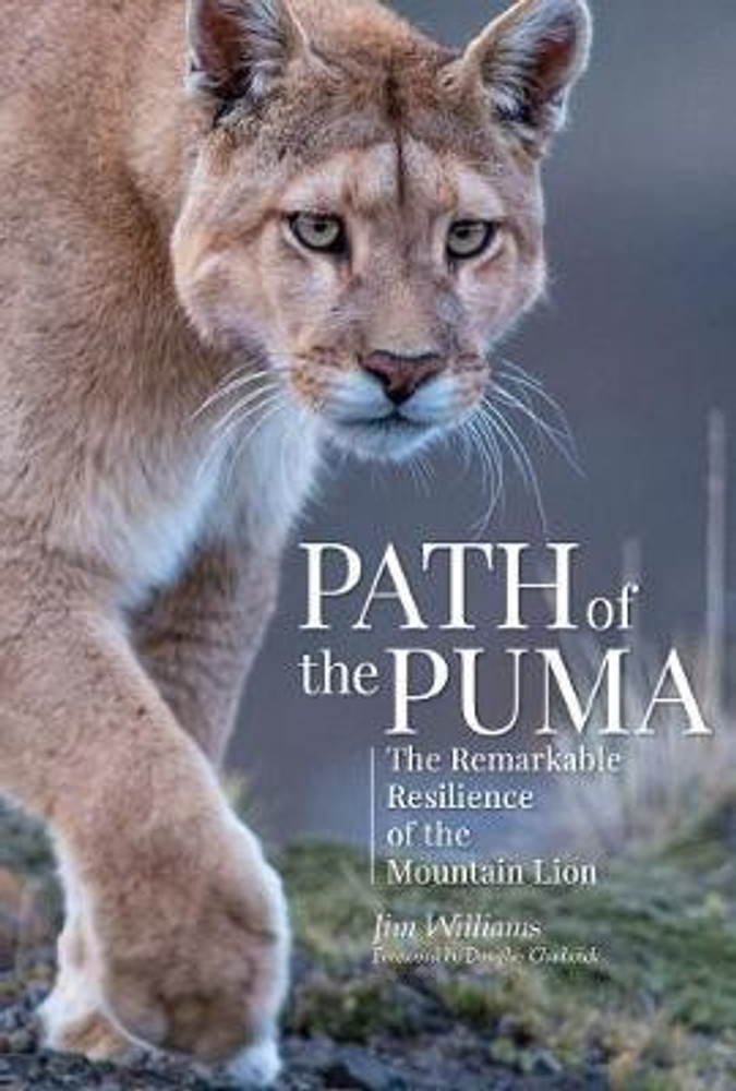 Path of the Puma Buy Path of the Puma by Williams Jim at Low Price in India Flipkart