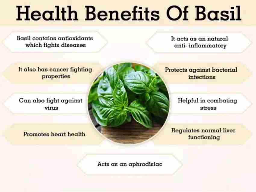 Naturewell Organics Basil Seeds Tukmariya Sabja Bapji Seed