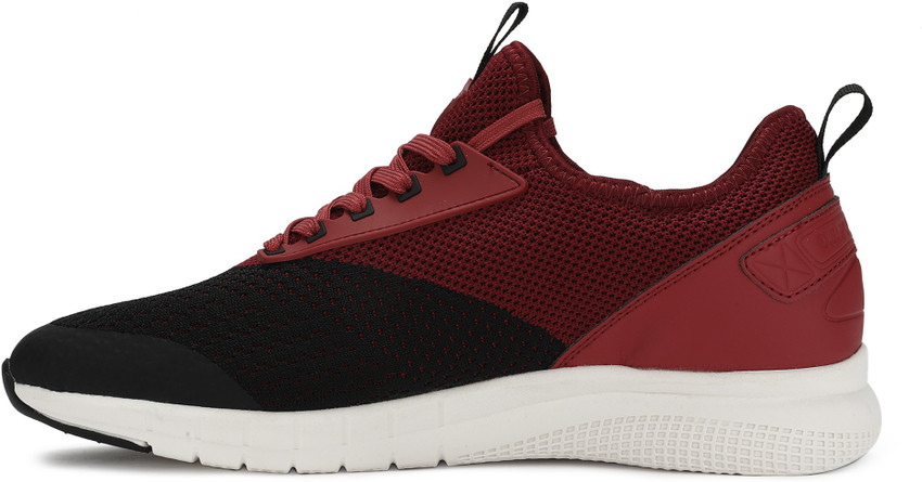 polo falcon shoes