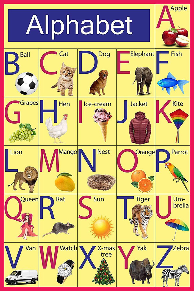 5+ Chart A B C D