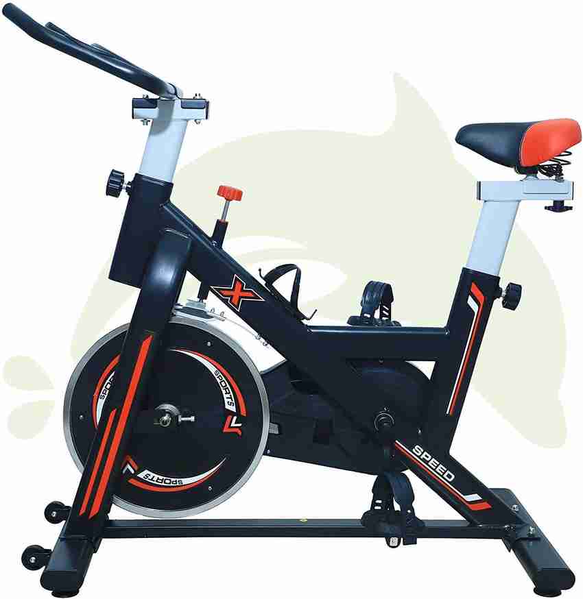 Dolphy hotsell exercise bike