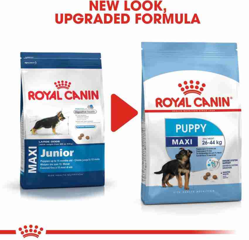 Royal canin maxi hot sale junior 20 kg