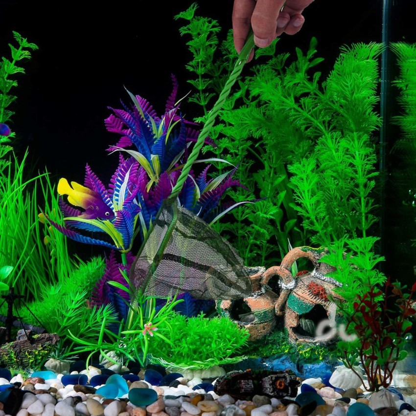 https://rukminim2.flixcart.com/image/850/1000/k0flmkw0/aquarium-fish-net/y/f/u/green-aquarium-fish-net-for-aquarium-and-fish-tank-nylon-net-original-imafk8kbjcxkghja.jpeg?q=90&crop=false