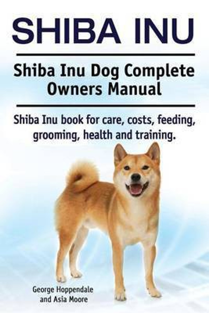Shiba inu hot sale boo
