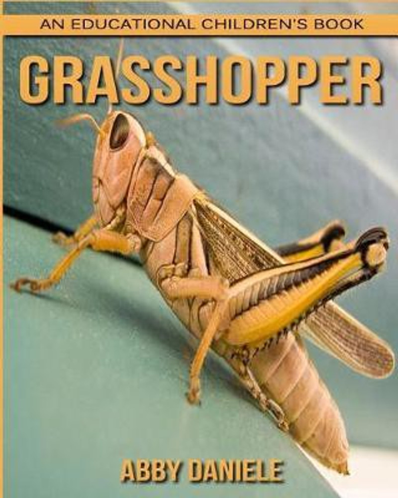 Grasshopper 225 price outlet