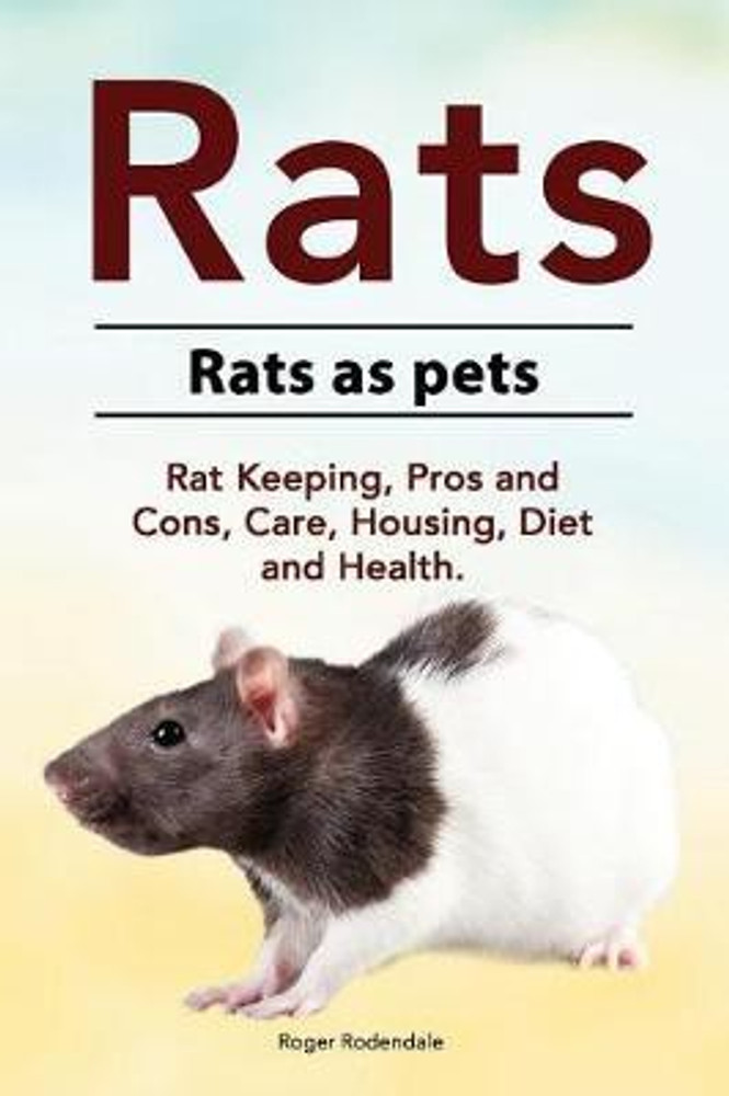 Buy rats outlet