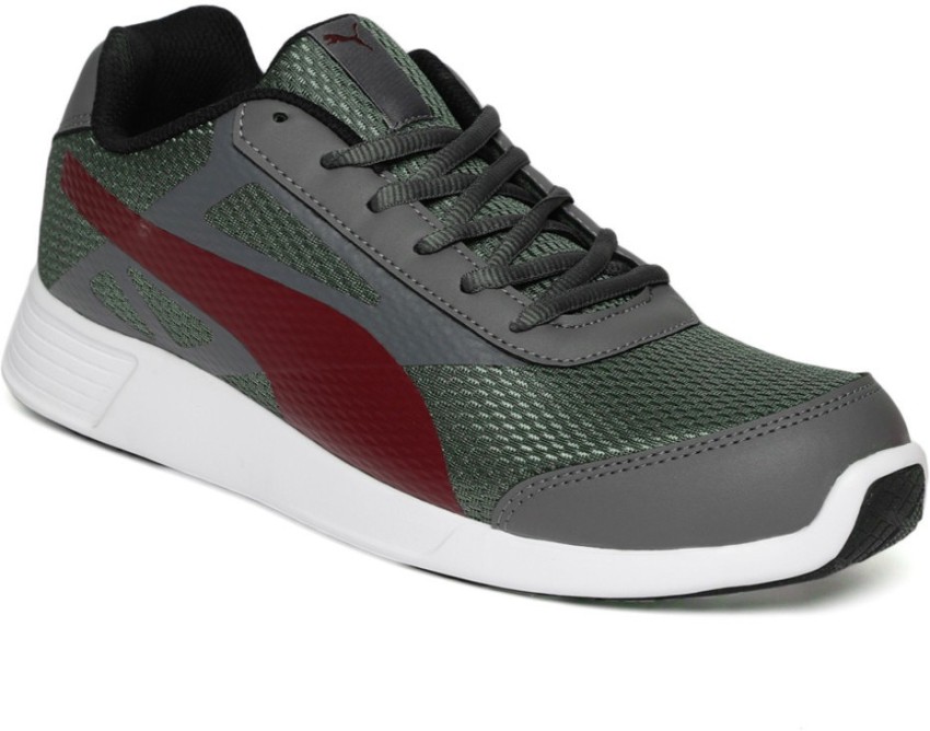 Puma trenzo 2025 ii idp