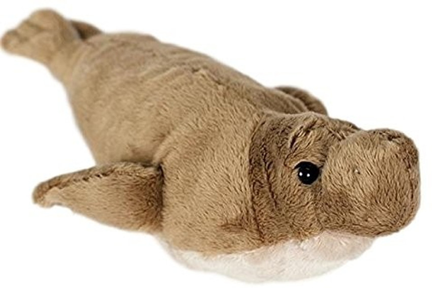Elephant seal plush store
