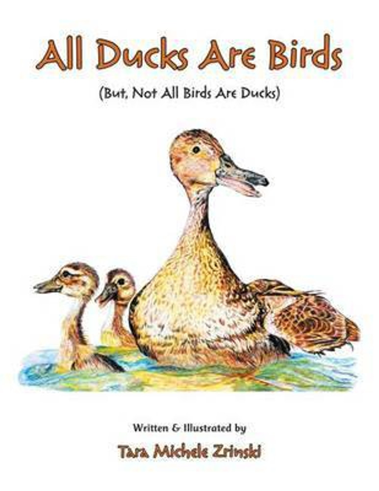 All hot sale birds buy