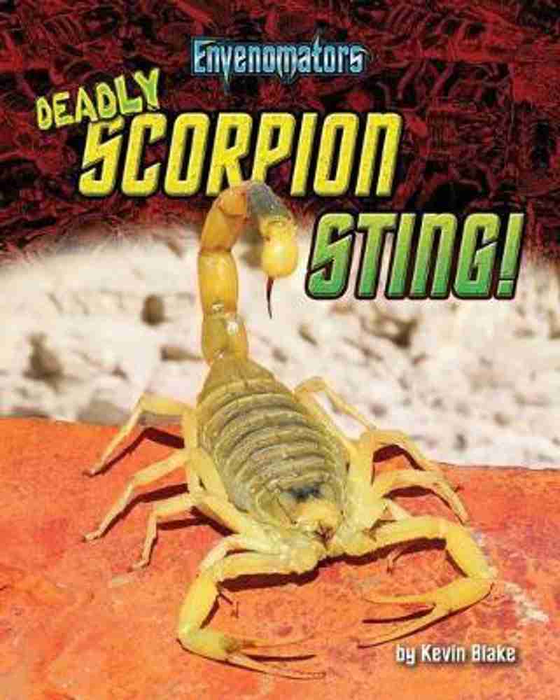 Scorpion dunk sale