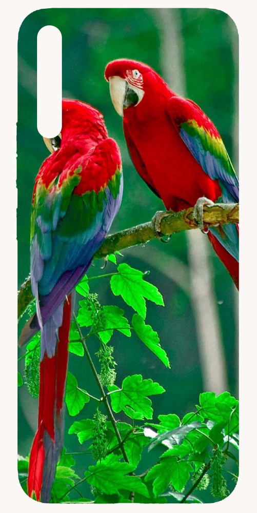 Parrot phantom store