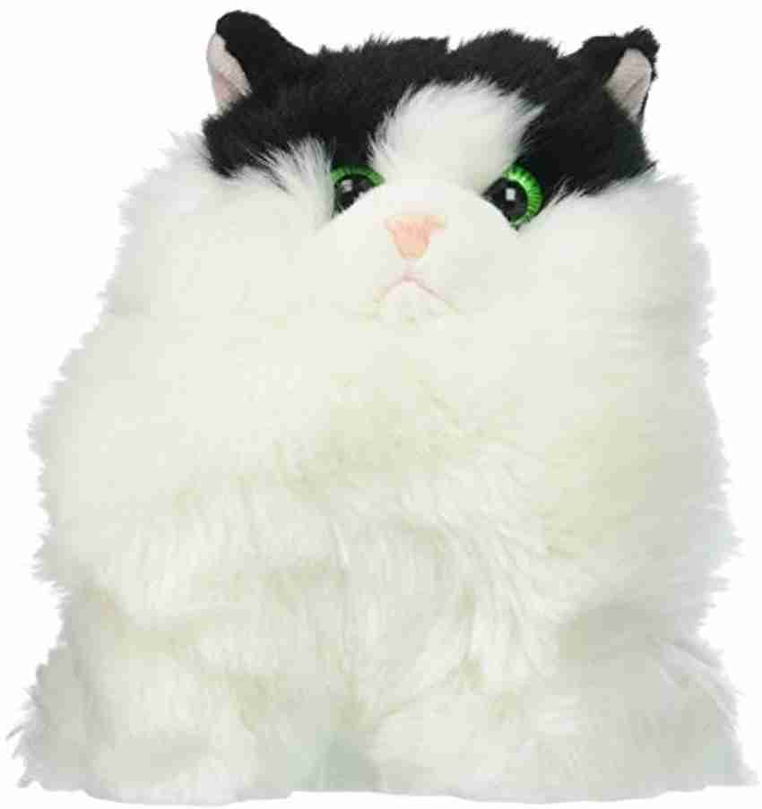 Aurora world fat cats outlet