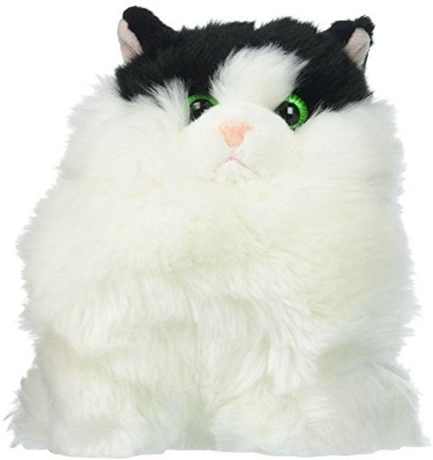 Fat cat teddy store