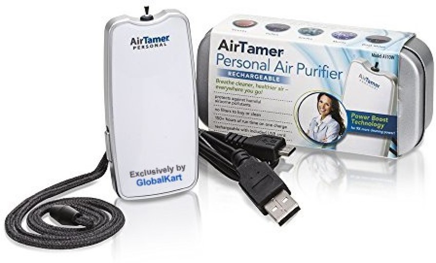 Tamer on sale air purifier