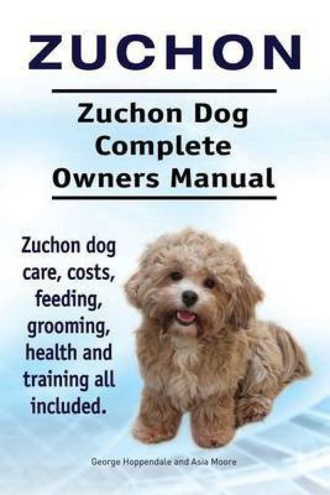 zuchon puppy cut