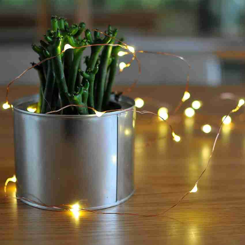 Ltettes lights discount