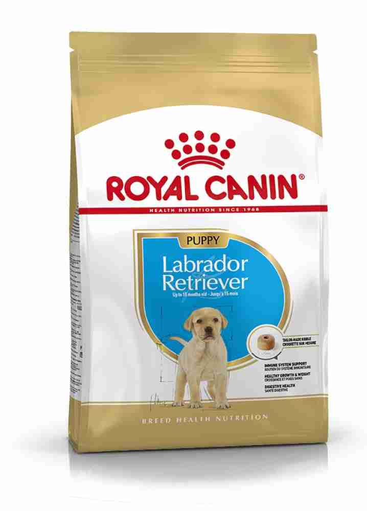 Starter food on sale for labrador puppy