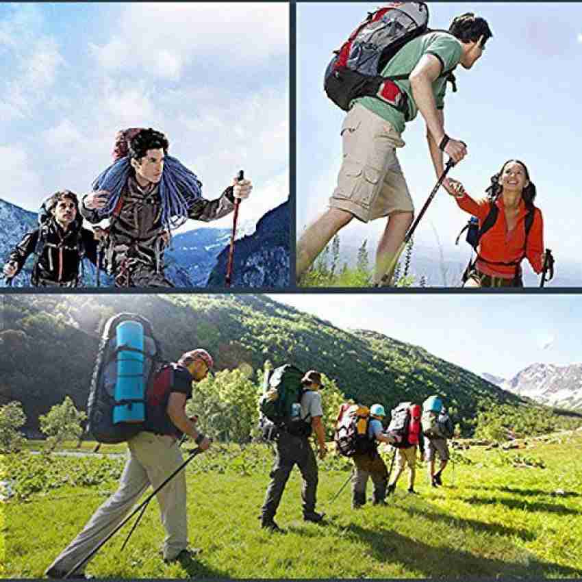 Trekking sales pole flipkart