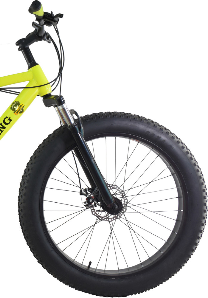 Mongoose fatboy bike best sale