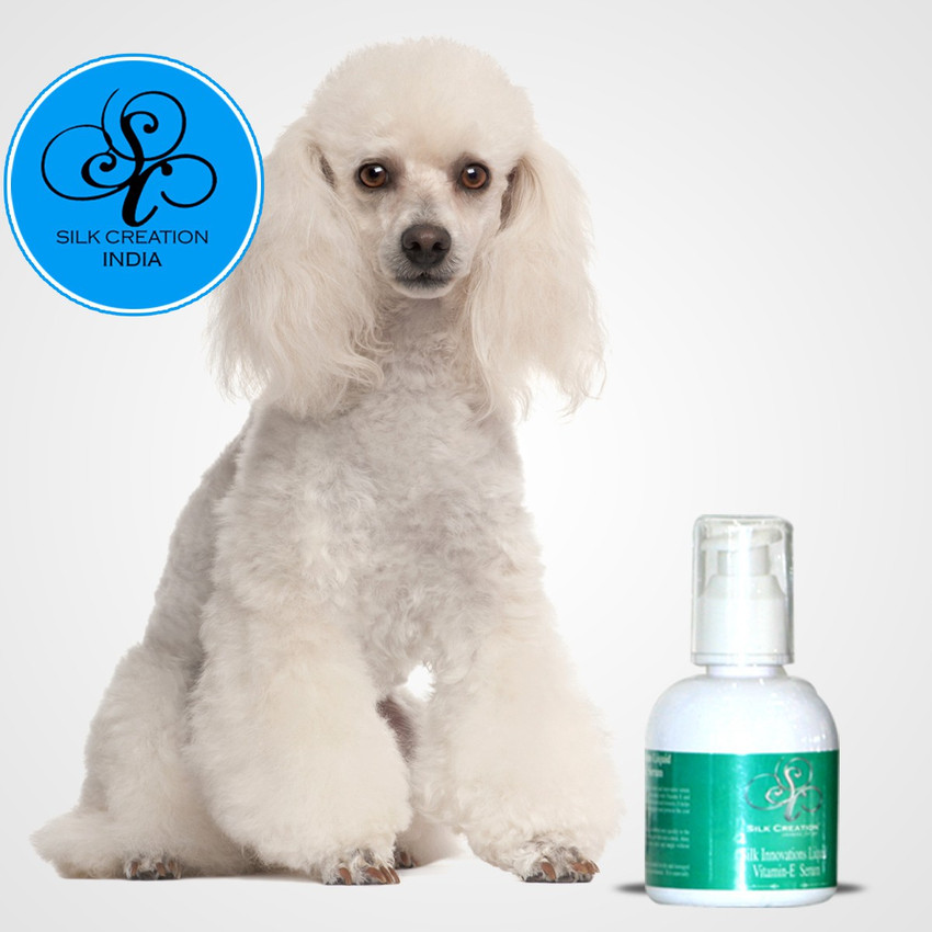 Silk creation dog shampoo online
