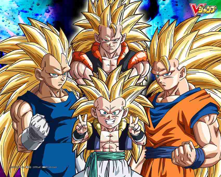 Super Saiyan 3 Poster