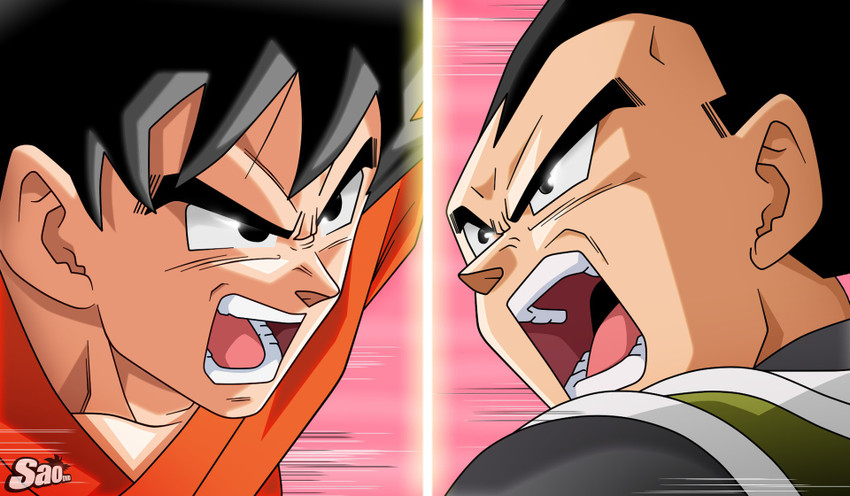 Dragon Ball Super Poster Gogeta VS Broly 12in x 18in Free Shipping