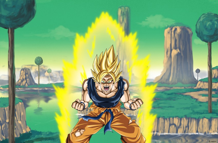 Dragon Ball Z/Super Poster Goku from SSJ to Ultra 12in x 18in Free Shipping