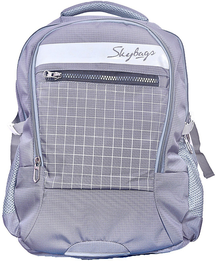 SKYBAGS Ford 35 L Backpack Grey Price in India Flipkart